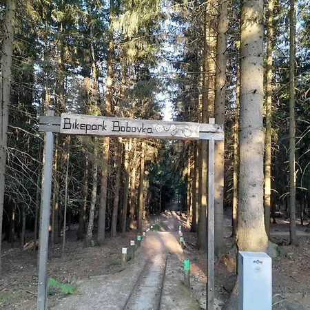 Horská chata Pod Lesem By Interhome *